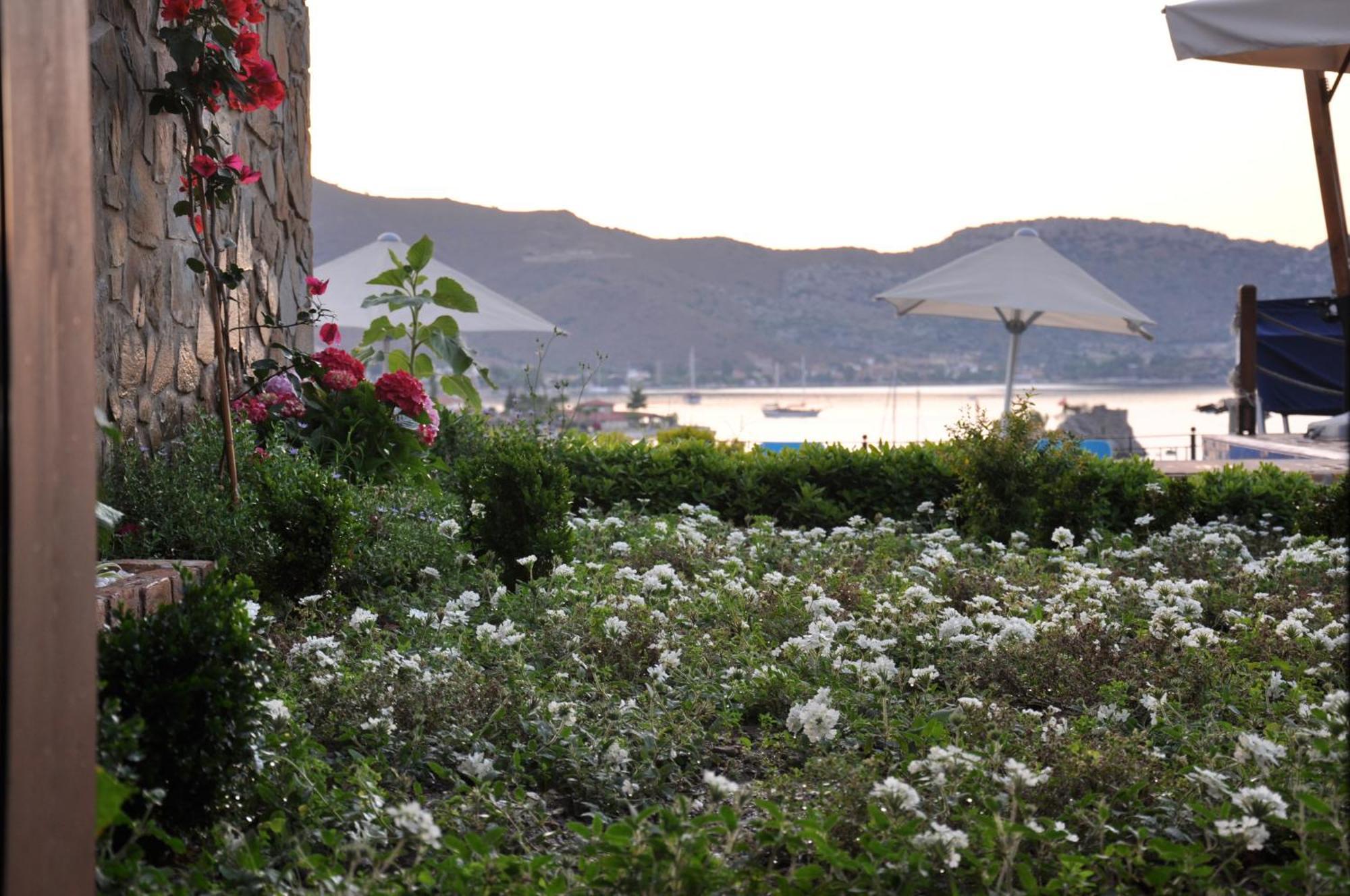 סלימייה Badem Tatil Evi חדר תמונה
